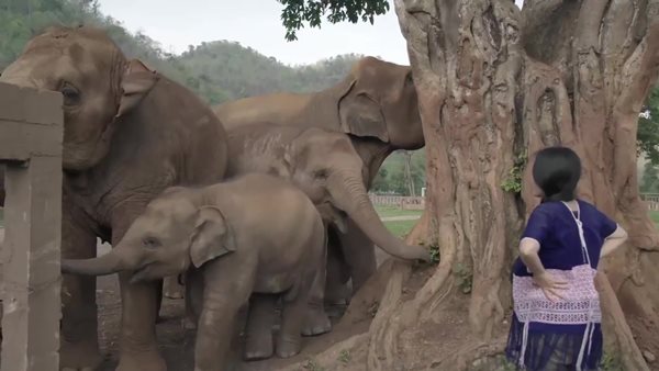 เวลคัม ทู ไทยแลนด์ เวอร์ชั่นใหม่ จะชวนทอมไปทำอะไร ถ้าไม่ใช่พัฒน์พงศ์