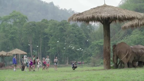 เวลคัม ทู ไทยแลนด์ เวอร์ชั่นใหม่ จะชวนทอมไปทำอะไร ถ้าไม่ใช่พัฒน์พงศ์