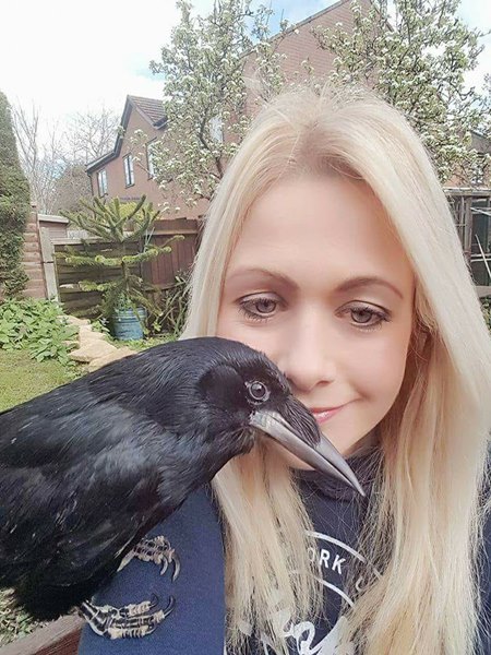 เลี้ยงกาพิการ