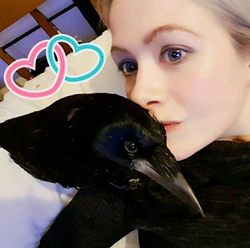 เลี้ยงกาพิการ