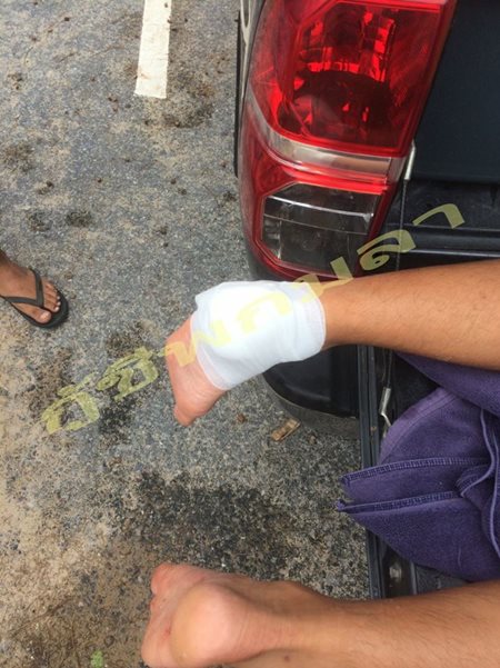 ปลากัดนักท่องเที่ยว ที่ภูเก็ต