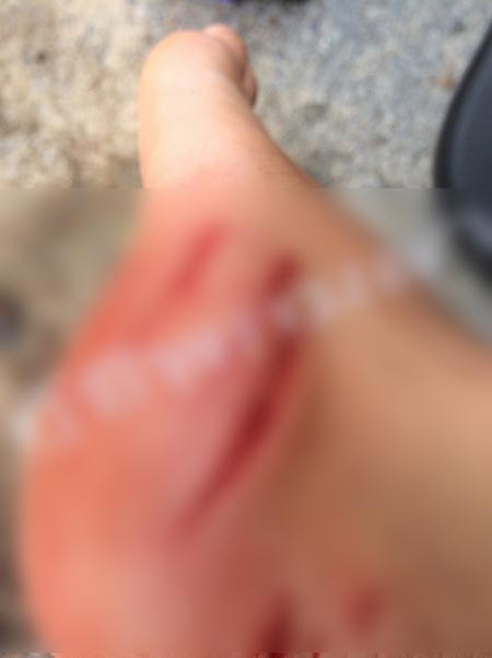 ปลากัดนักท่องเที่ยว ที่ภูเก็ต