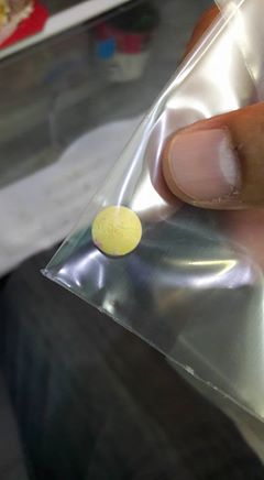 นักศึกษาแพทย์ฆ่าหมาเอาเงินประกัน