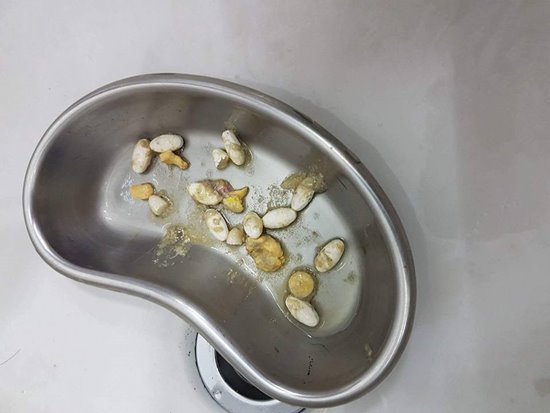 นักศึกษาแพทย์ฆ่าหมาเอาเงินประกัน