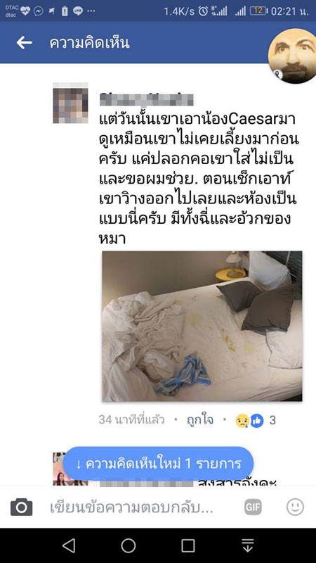 นักศึกษาแพทย์ฆ่าหมาเอาเงินประกัน