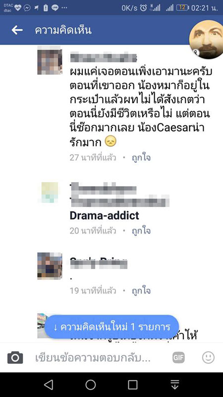 นักศึกษาแพทย์ฆ่าหมาเอาเงินประกัน