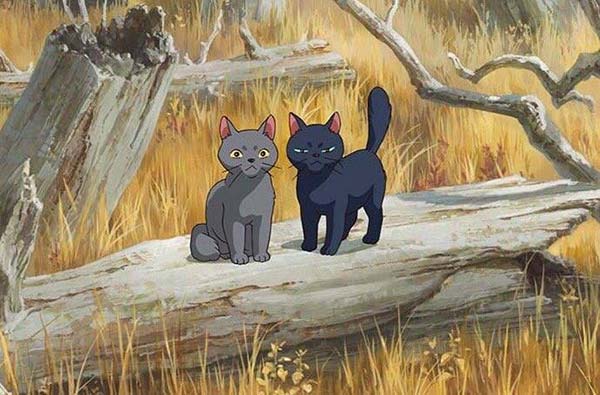 Mary And The Witchs Flower