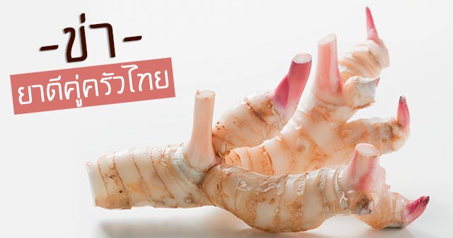 ข่า