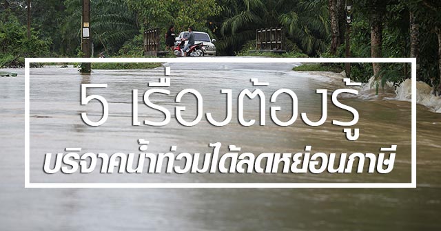 บริจาคน้ำท่วม