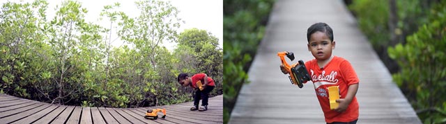 ขบวนการตากอากาศ