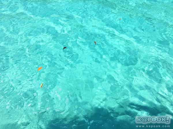 เที่ยวตราด