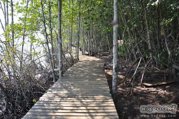 เที่ยวตราด