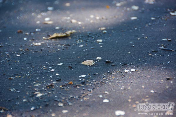 เที่ยวตราด