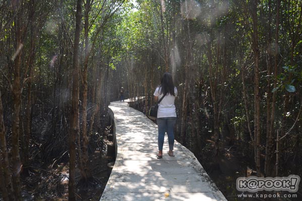 เที่ยวตราด