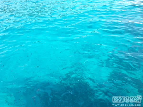 เที่ยวตราด