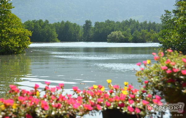 เที่ยวตราด