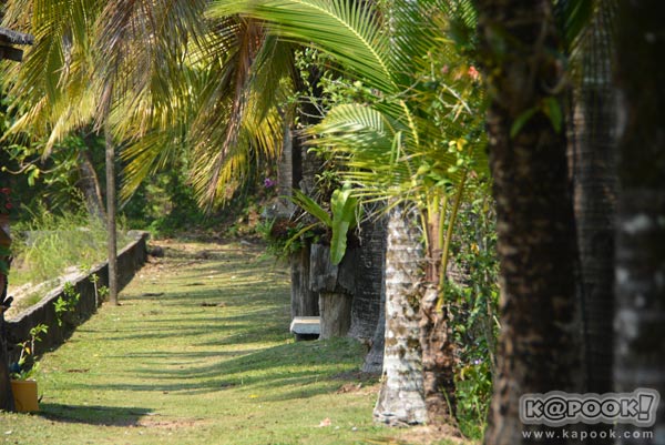 เที่ยวตราด