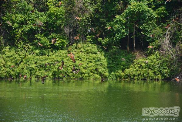 เที่ยวตราด