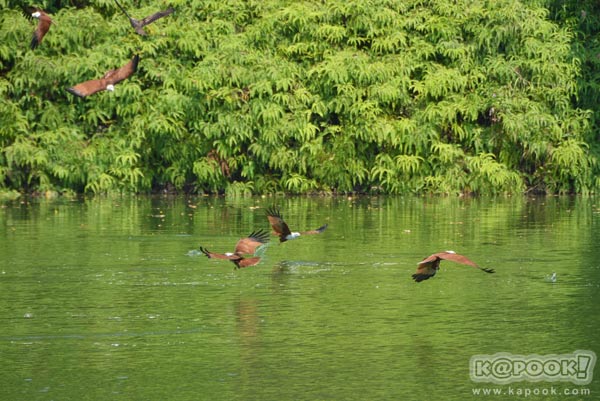 เที่ยวตราด