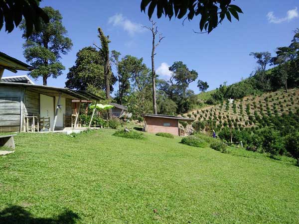 ที่พักวิวสวย