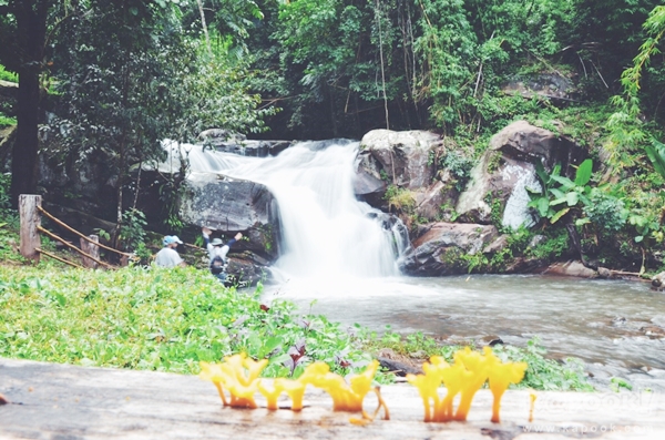 ภูสอยดาว