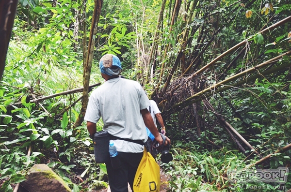 ภูสอยดาว