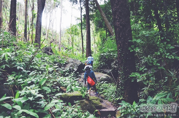 ภูสอยดาว