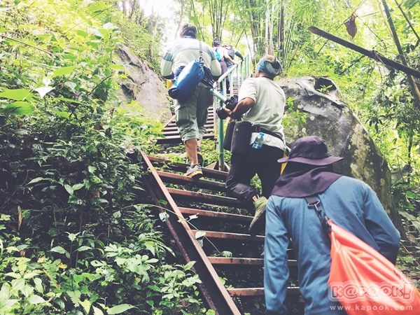 ภูสอยดาว