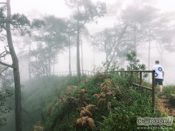 ภูสอยดาว