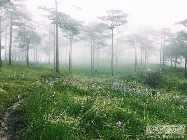 ภูสอยดาว