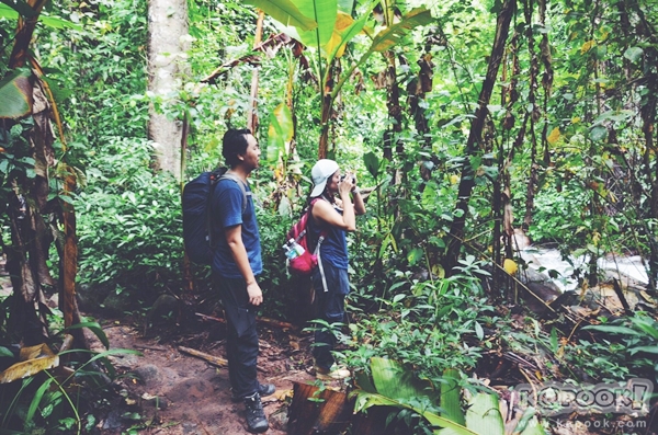 ภูสอยดาว