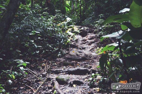 ภูสอยดาว