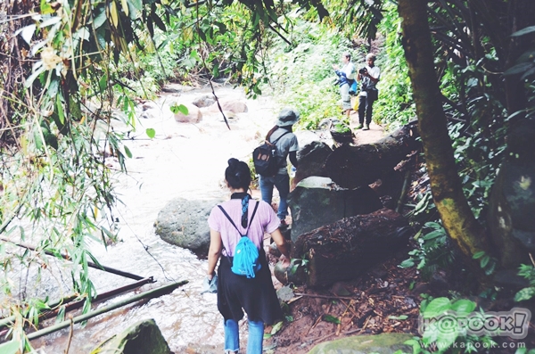 ภูสอยดาว