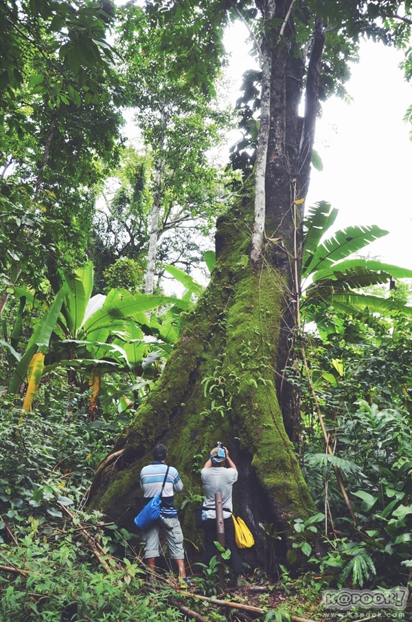 ภูสอยดาว