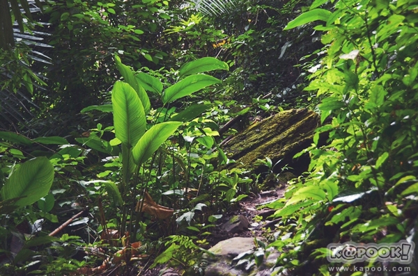 ภูสอยดาว