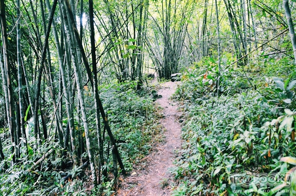 ภูสอยดาว