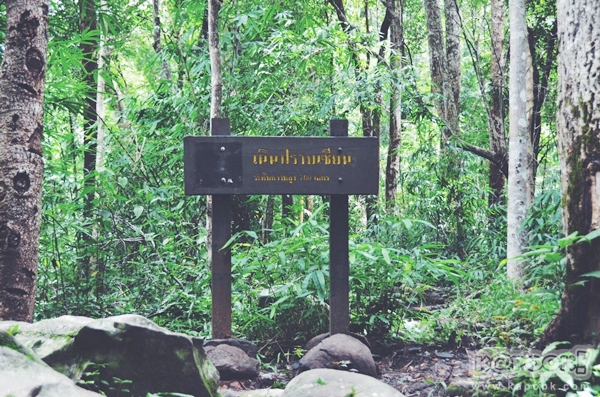 ภูสอยดาว