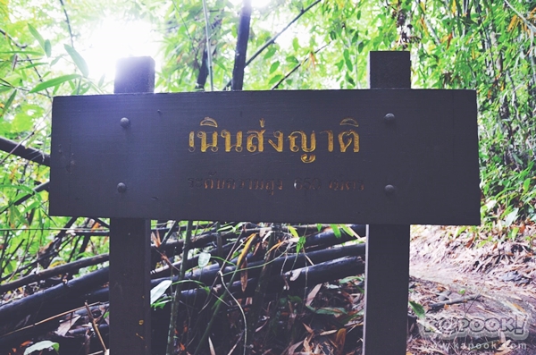 ภูสอยดาว