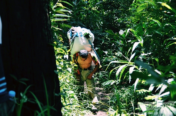 ภูสอยดาว