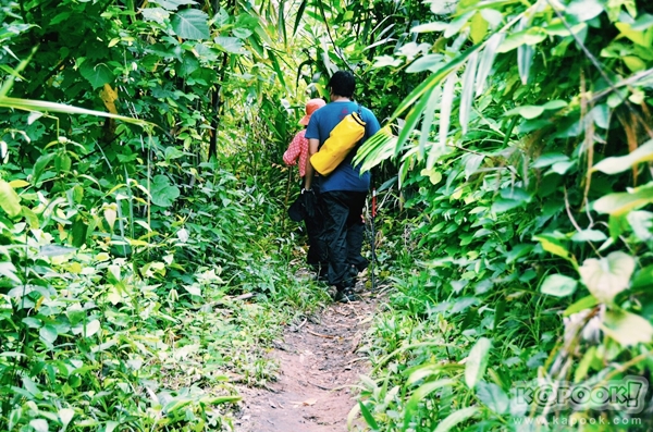 ภูสอยดาว