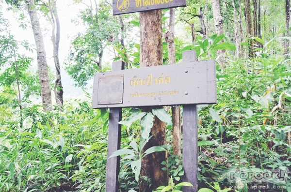 ภูสอยดาว