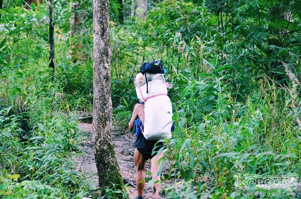 ภูสอยดาว