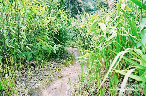 ภูสอยดาว