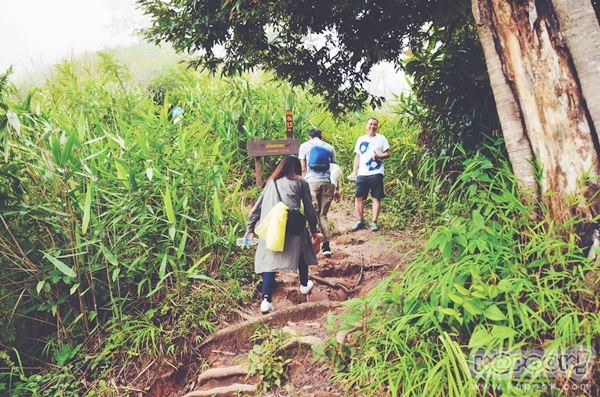 ภูสอยดาว