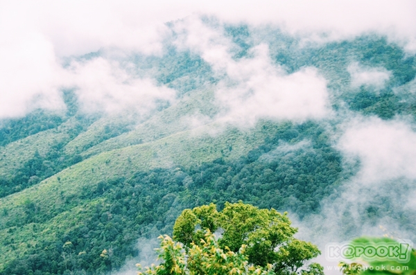 ภูสอยดาว