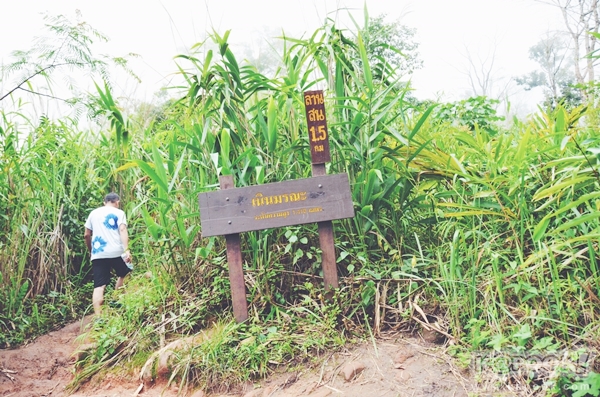 ภูสอยดาว