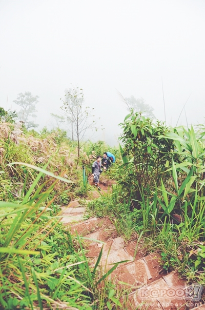 ภูสอยดาว