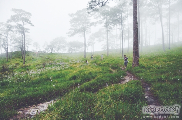 ภูสอยดาว