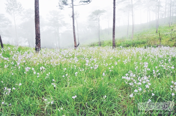 ภูสอยดาว