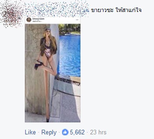 ใบเตย อาร์สยาม